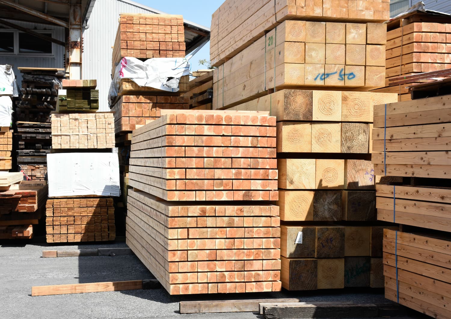 木のプロフェッショナルが創る妥協のない家